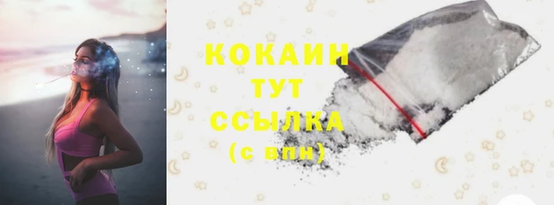 2c-b Бородино
