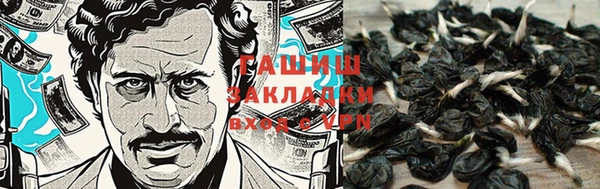 2c-b Бородино