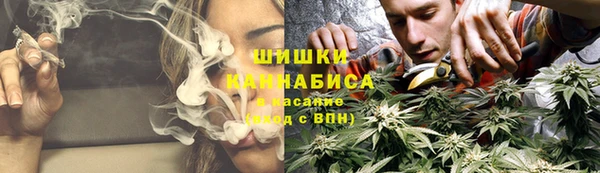 2c-b Бородино