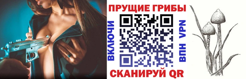 Галлюциногенные грибы мицелий  даркнет сайт  Якутск 