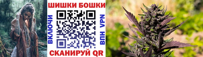 Бошки Шишки семена  darknet как зайти  Якутск  наркотики 